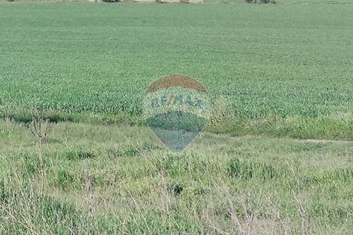 За продажба-Земеделски имот-м-т Добрева чешма, Област Варна, България-360471005-227