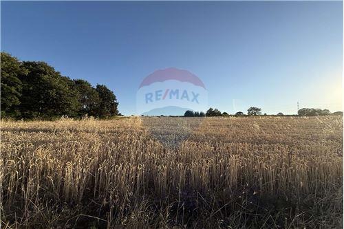 For Sale-Land-м-т Перчемлията, Област Варна, Болгария-360321025-205