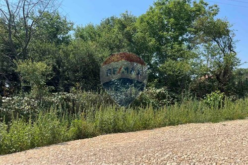 For Sale-Land-с. Равна гора, Област Варна, Болгария-360331031-29