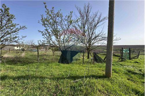 For Sale-Development land-с. Щръклево, Област Русе, Болгария-360451001-664