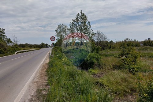 For Sale-Land-с. Тополи, Област Варна, Болгария-360331033-11
