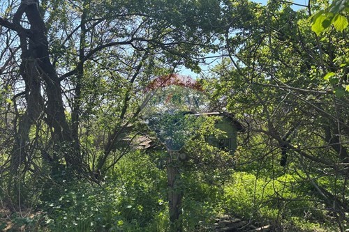 For Sale-Development land-с. Звездица, Област Варна, Болгария-360531007-9