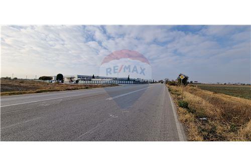 For Sale-For Construction-с. Скутаре, Област Пловдив, Болгария-360261014-136