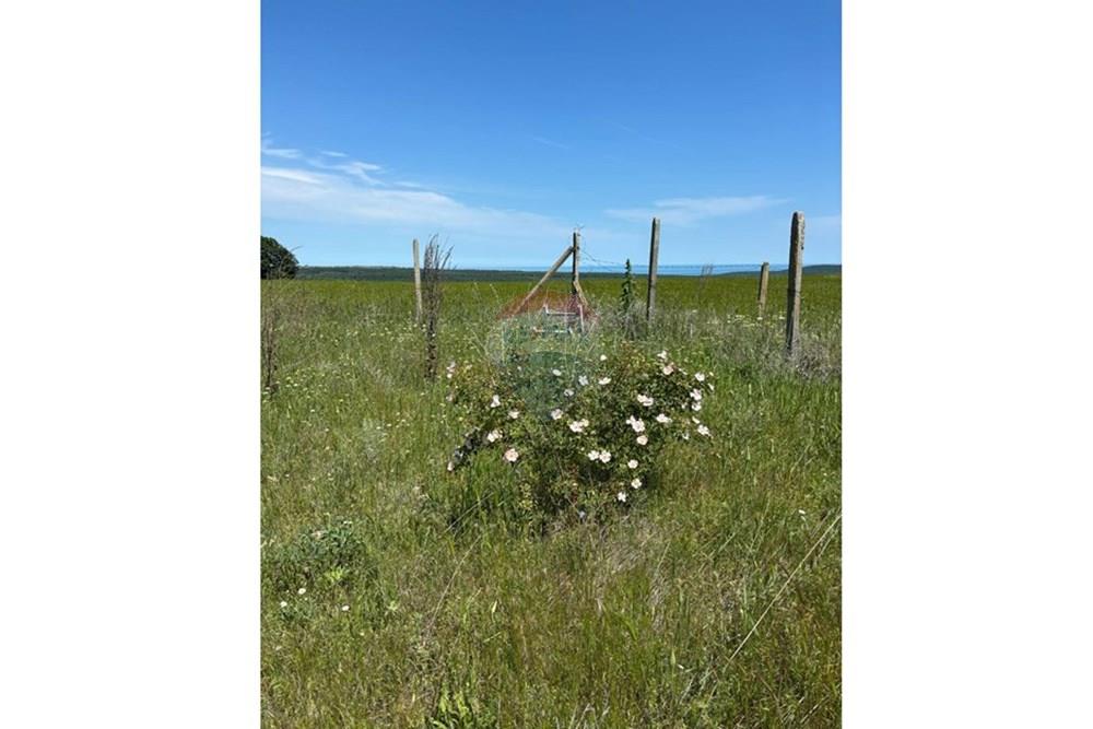 УПИ с решение за строеж - За продажба - с. Приселци, Област Варна, България - b0678532-d7fe-4cc3-b8d5-88c7c4afd81e.jpg - 360531007-11