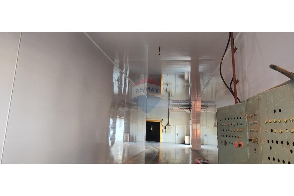 Фабрика - За продажба - с. Полковник Ламбриново, Област Силистра, България - хале 6.jpg - 360321028-142