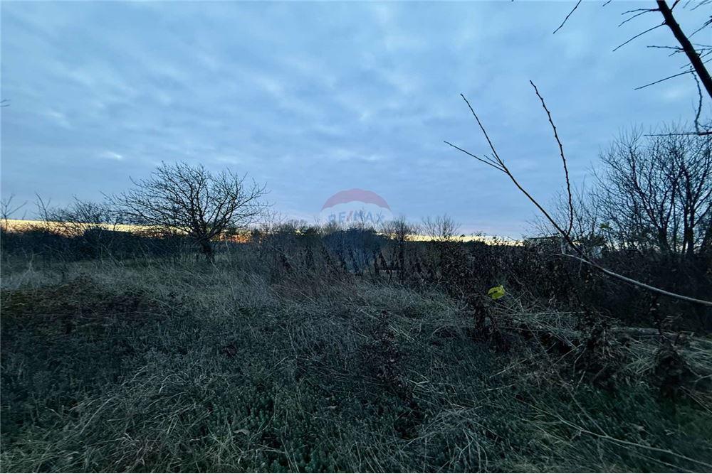 УПИ - За продажба - с. Топола, Област Добрич, България - Жилищна еднофамилна едноетажна сграда - Двор - 360321025-261