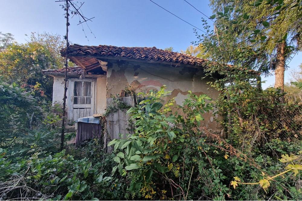 Hus på landet - Til salgs - с. Писанец, Област Русе, България - 20251016_170612.jpg - 360451038-13