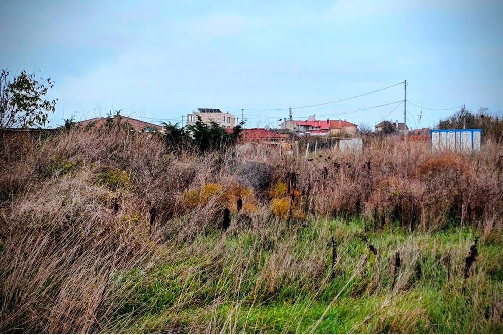 УПИ - За продажба - с. Тюленово, Област Добрич, България - viber_изображение_2026-01-04_21-59-21-009.jpg - 360391052-26