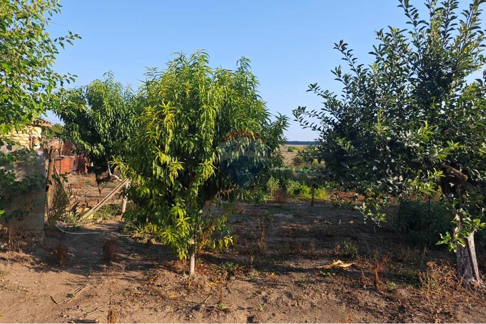 Селска къща - За продажба - с. Видно, Област Добрич, България - viber_изображение_2025-09-19_14-28-22-196.jpg - 360391052-18