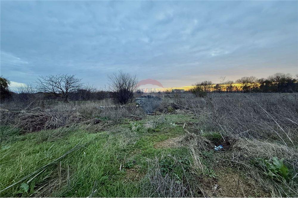 УПИ - За продажба - с. Топола, Област Добрич, България - Жилищна еднофамилна едноетажна сграда - Двор - 360321025-261