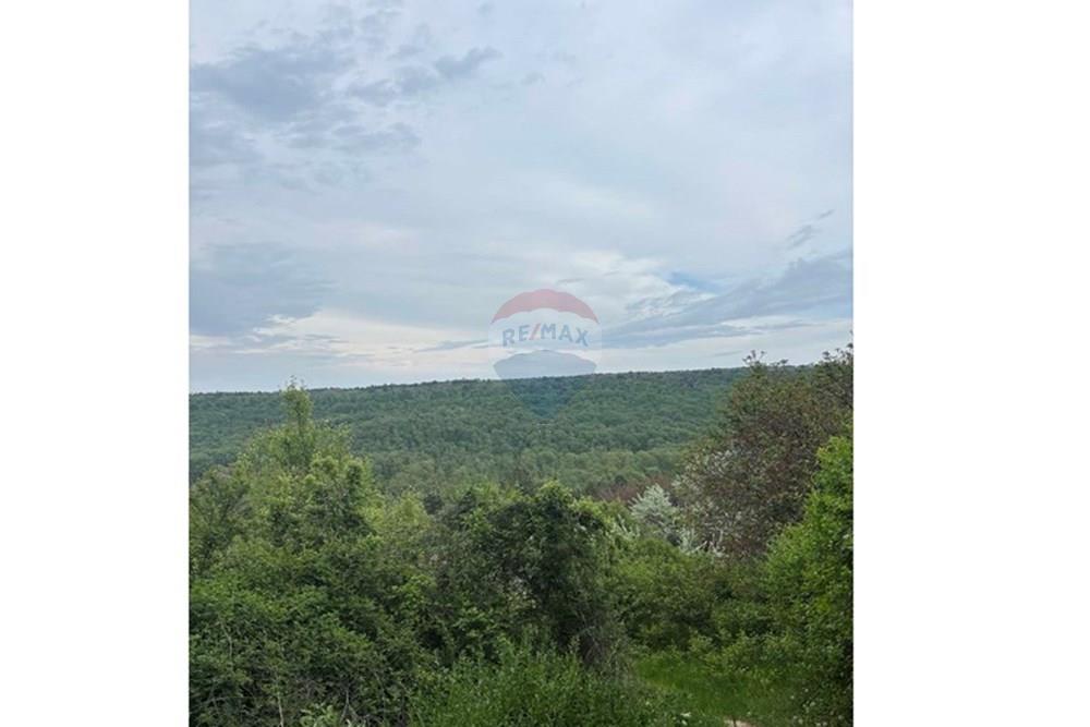 УПИ - За продажба - с. Звездица, Област Варна, България - viber_image_2025-05-16_16-34-23-205.jpg - 360531007-9