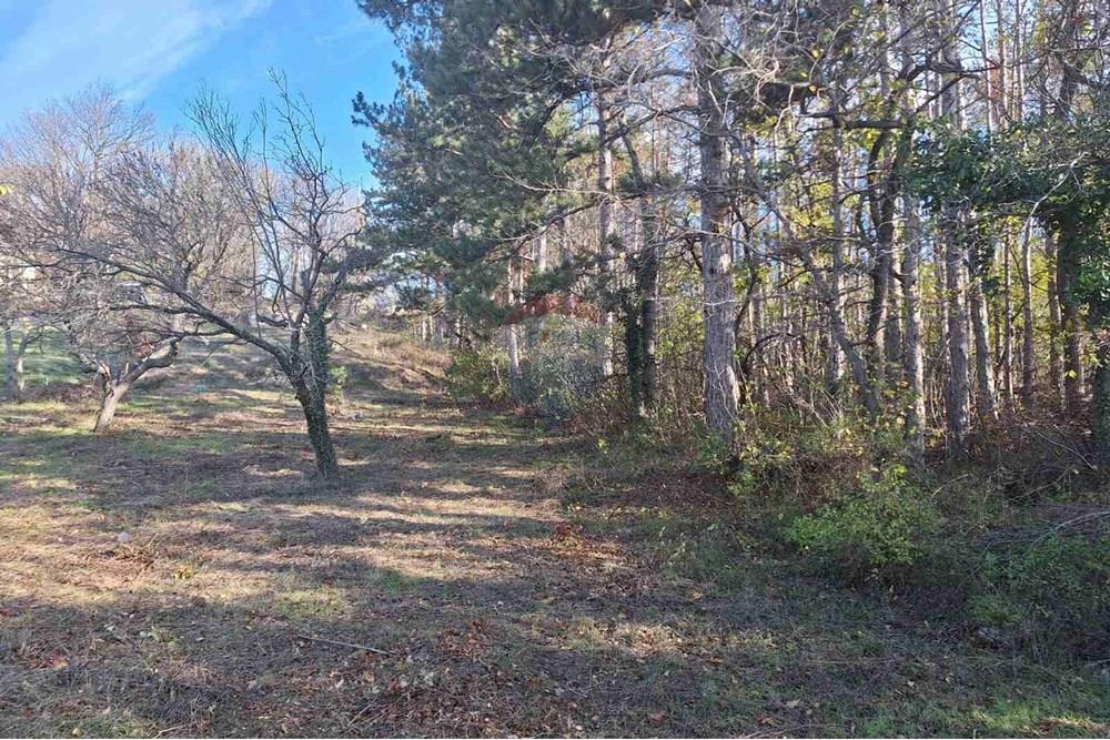 УПИ - За продажба - гр. Варна, Област Варна, България - viber_изображение_2025-12-01_14-03-04-575.jpg - 360321033-165