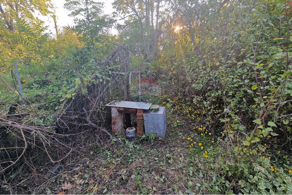 Hus på landet - Til salgs - с. Писанец, Област Русе, България - 20251016_170644.jpg - 360451038-13