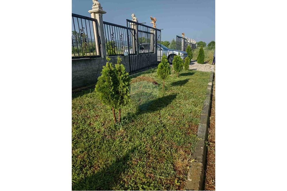 Земеделски имот - За продажба - с. Златитрап, Област Пловдив, България - 7045be6a-1ef5-4cc9-bdfc-b35ba0ef24bd.jpg - 360261008-123