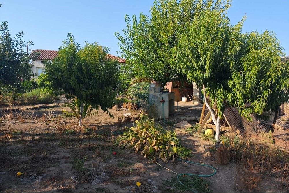 Селска къща - За продажба - с. Видно, Област Добрич, България - viber_изображение_2025-09-19_14-28-22-175.jpg - 360391052-18