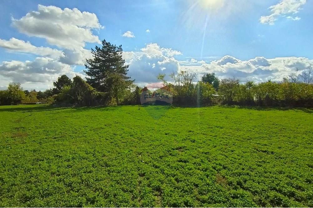 Селска къща - За продажба - с. Горно Абланово, Област Русе, България - viber_image_2025-10-28_16-58-14-899.jpg - 360451035-82