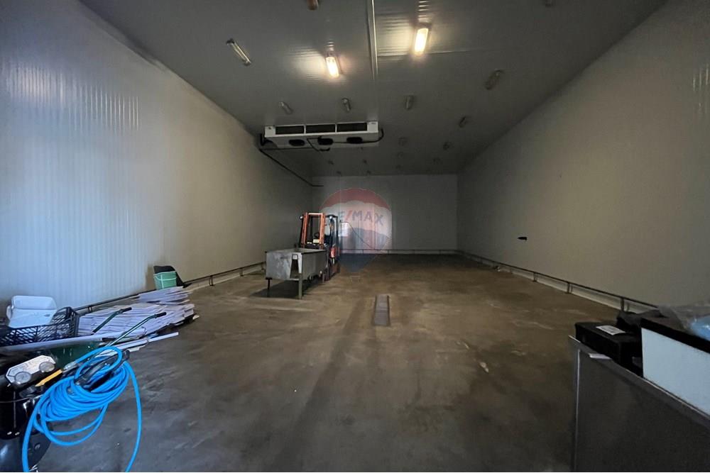 Фабрика - За продажба - с. Полковник Ламбриново, Област Силистра, България - хале 4.jpg - 360321028-142