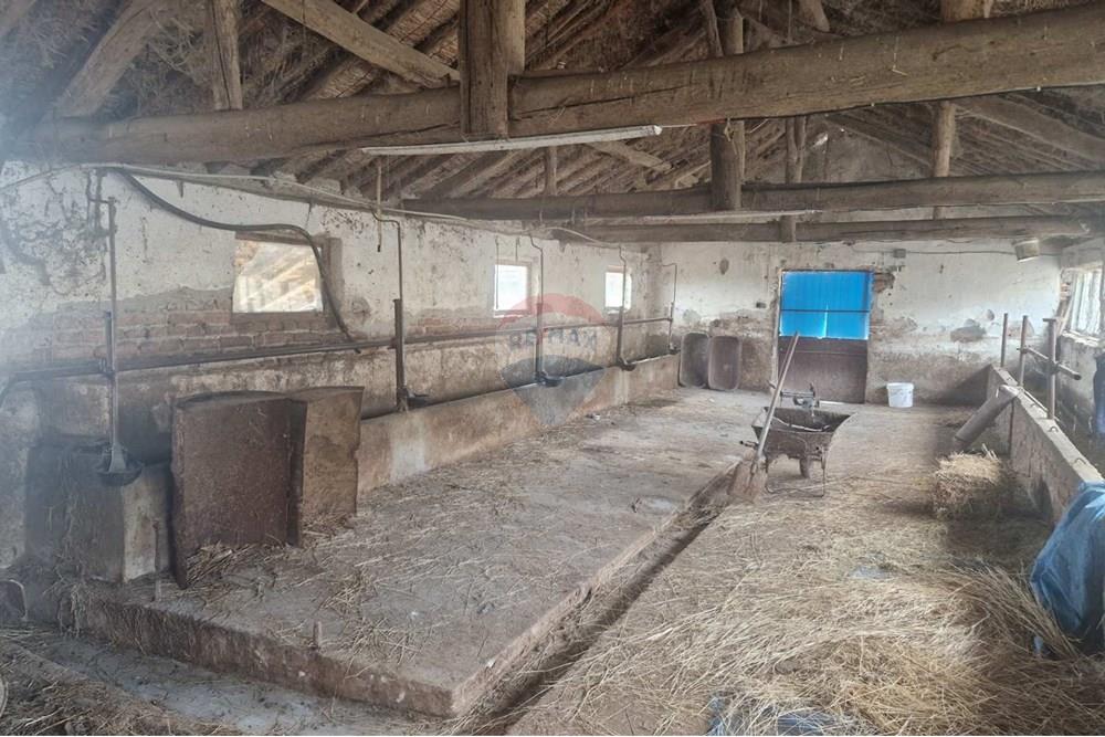 Стопанство - За продажба - с. Тенево, Област Ямбол, България - viber_image_2025-01-02_19-48-49-287.jpg - 360531003-47