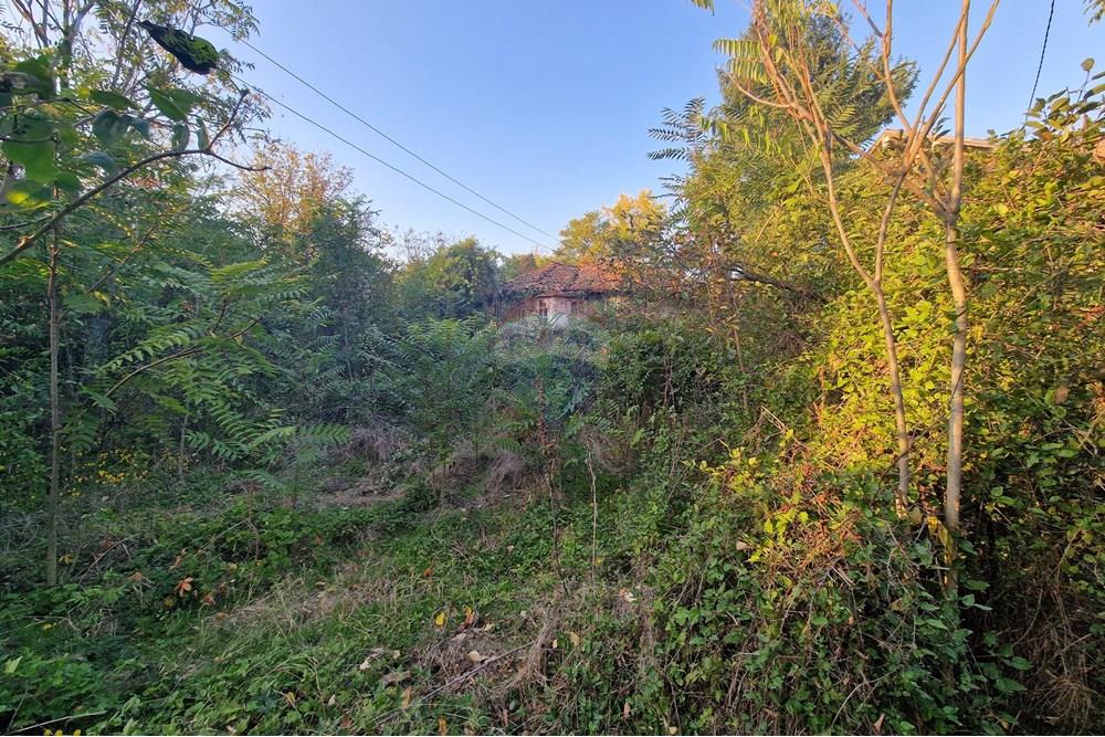 Hus på landet - Til salgs - с. Писанец, Област Русе, България - 20251016_172951.jpg - 360451038-13