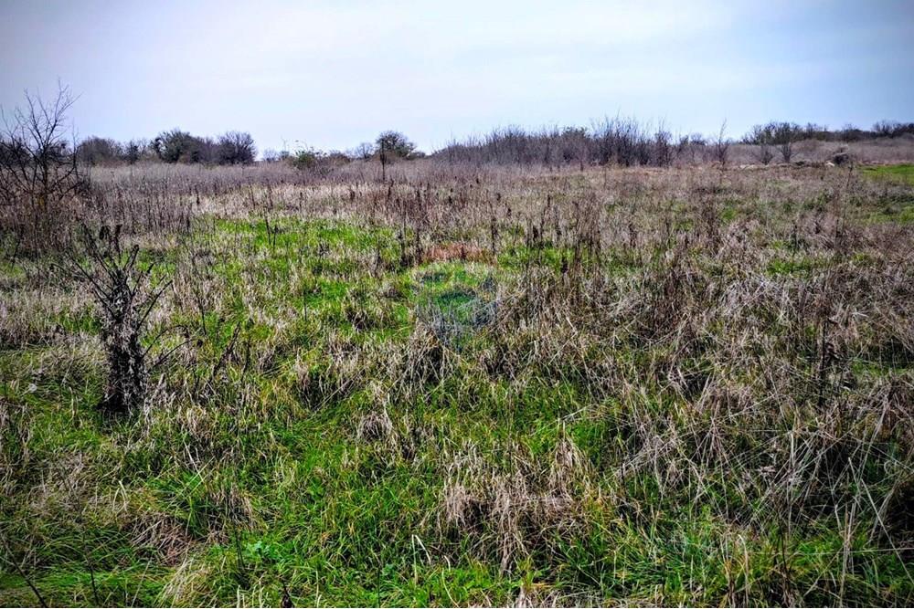 УПИ - За продажба - с. Тюленово, Област Добрич, България - viber_изображение_2026-01-04_21-59-20-832.jpg - 360391052-26