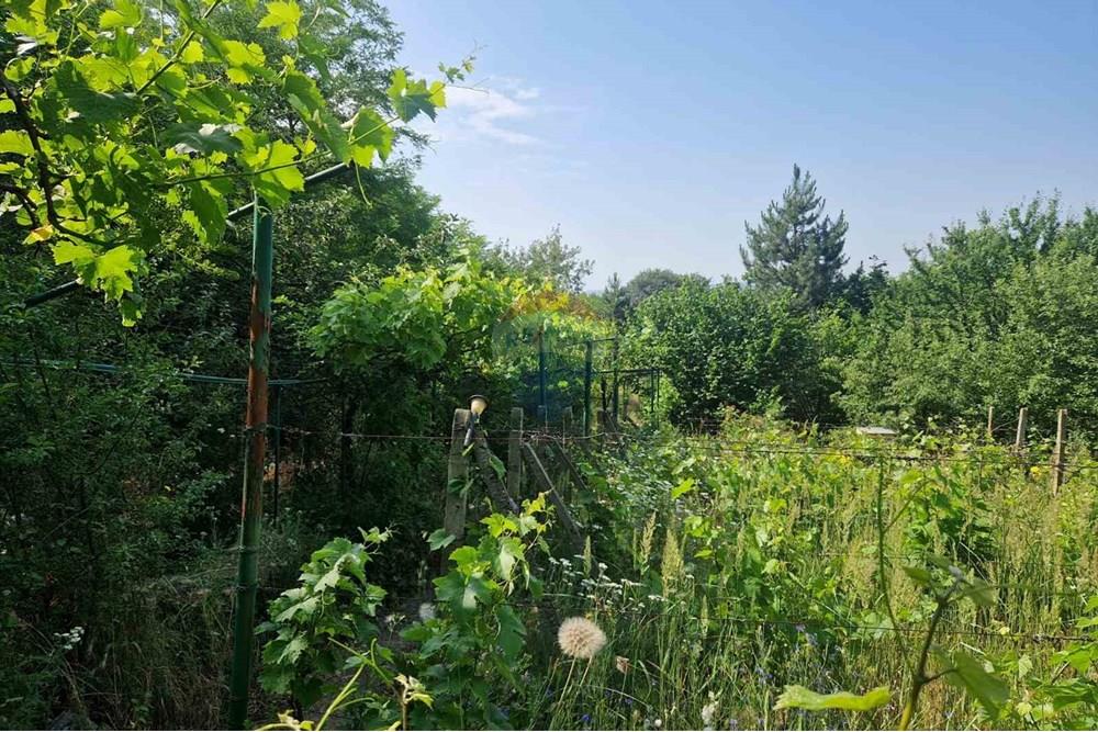 УПИ - За продажба - гр. Варна, Област Варна, България - viber_image_2025-07-08_16-14-59-467.jpg - 360531003-46