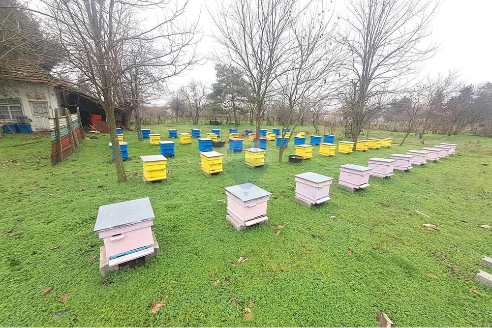 УПИ - За продажба - с. Бръшлен, Област Русе, България - 20251216_135358.JPG - 360451036-45