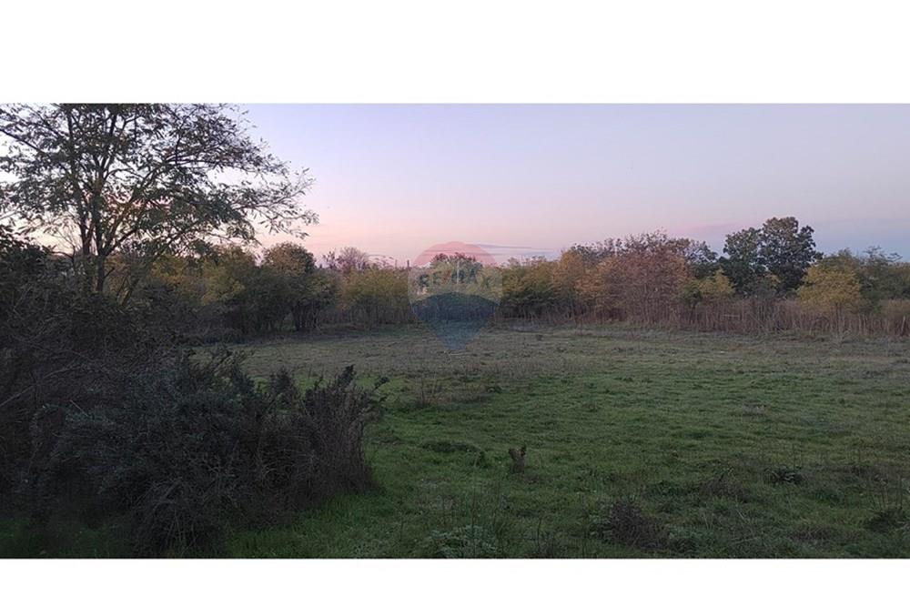 Селска къща - За продажба - с. Вранино, Област Добрич, България - IMG_20251030_170731.jpg - 360331026-36