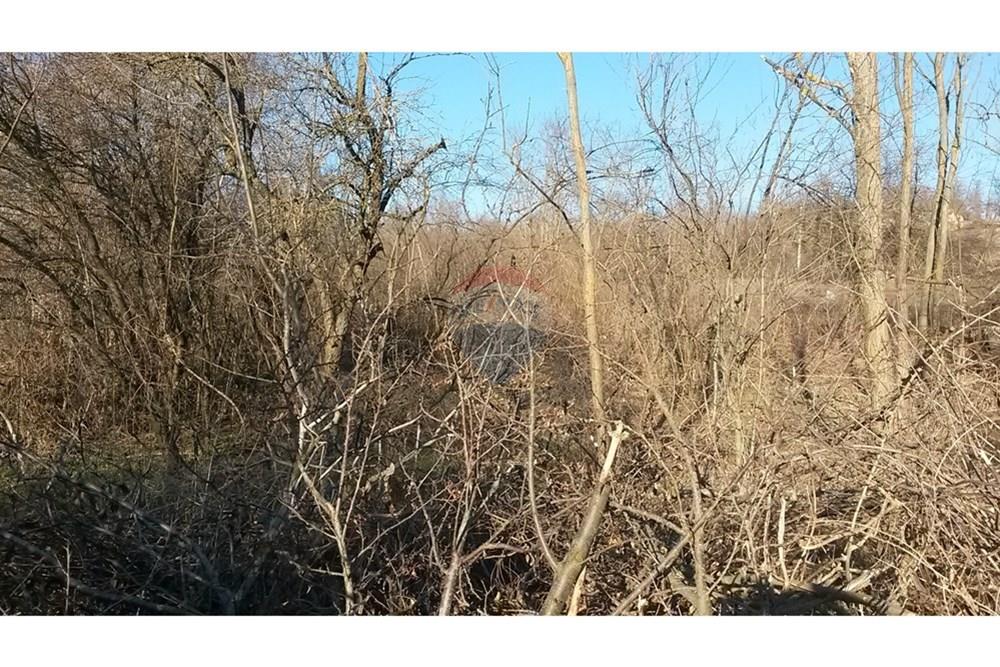 УПИ - За продажба - с. Щипско, Област Варна, България - 20180131_152124.jpg - 360391046-42