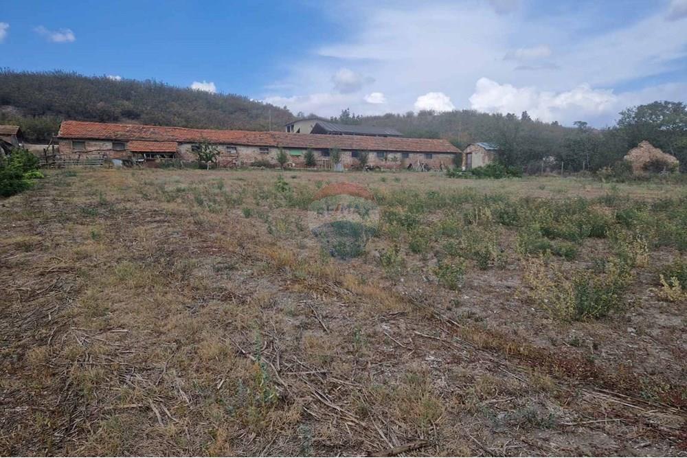 Стопанство - За продажба - с. Тенево, Област Ямбол, България - viber_image_2024-12-11_08-43-44-581.jpg - 360531003-47