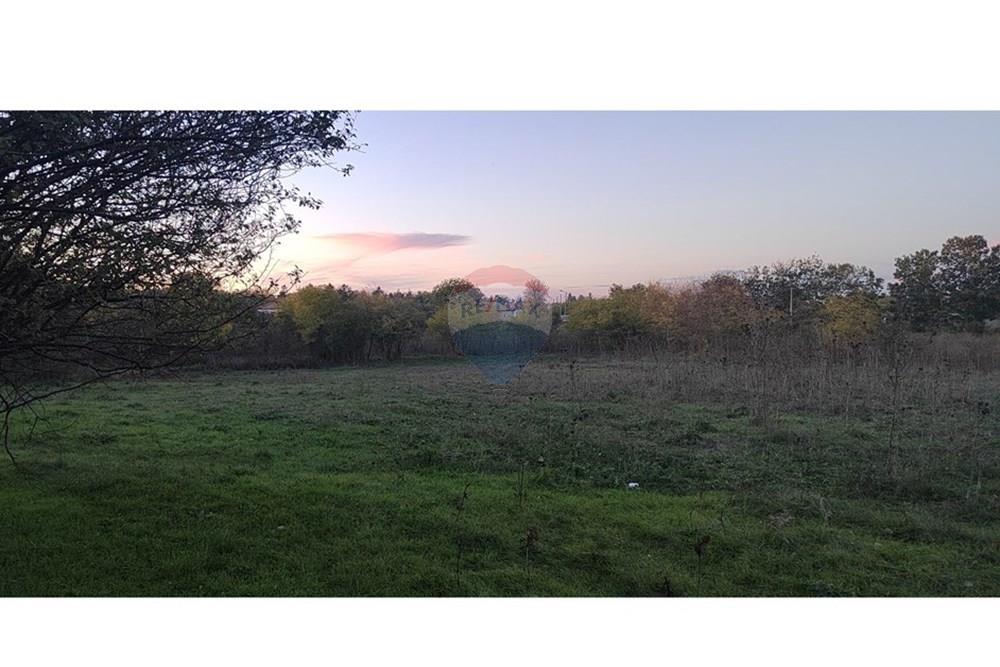 Селска къща - За продажба - с. Вранино, Област Добрич, България - IMG_20251030_170656.jpg - 360331026-36