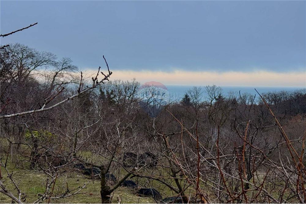 Вила - За продажба - гр. Варна, Област Варна, България - Озеленен, терасиран и аранжиран двор - Двор - 360321025-286