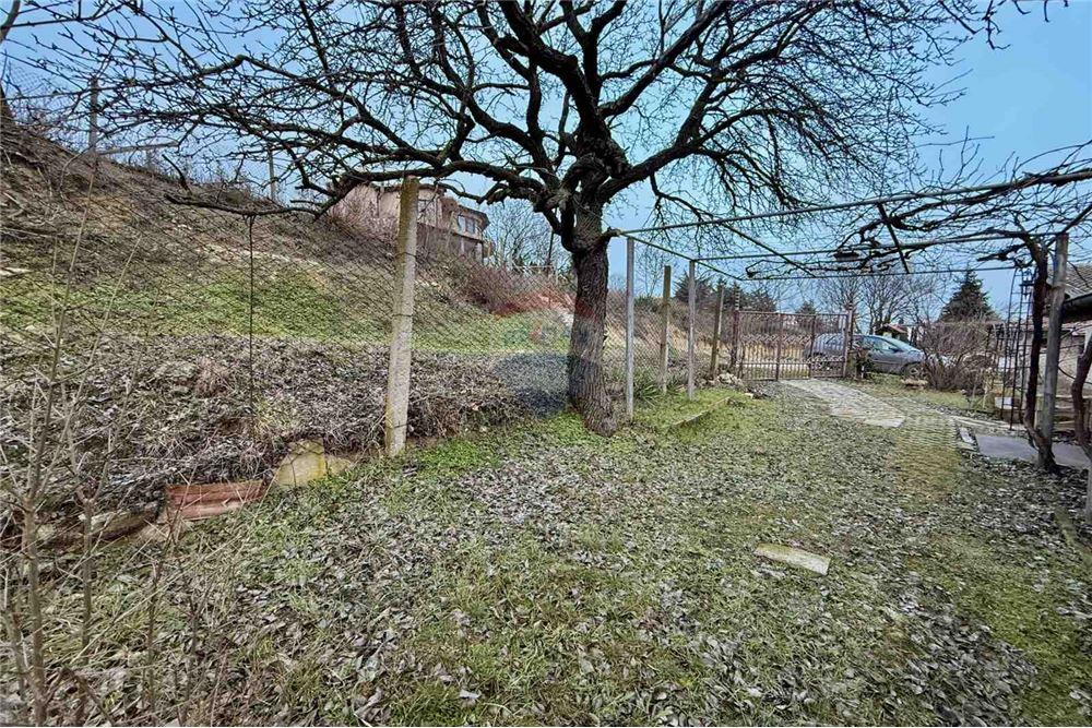 Вила - За продажба - гр. Варна, Област Варна, България - Озеленен, терасиран и аранжиран двор - Двор - 360321025-286