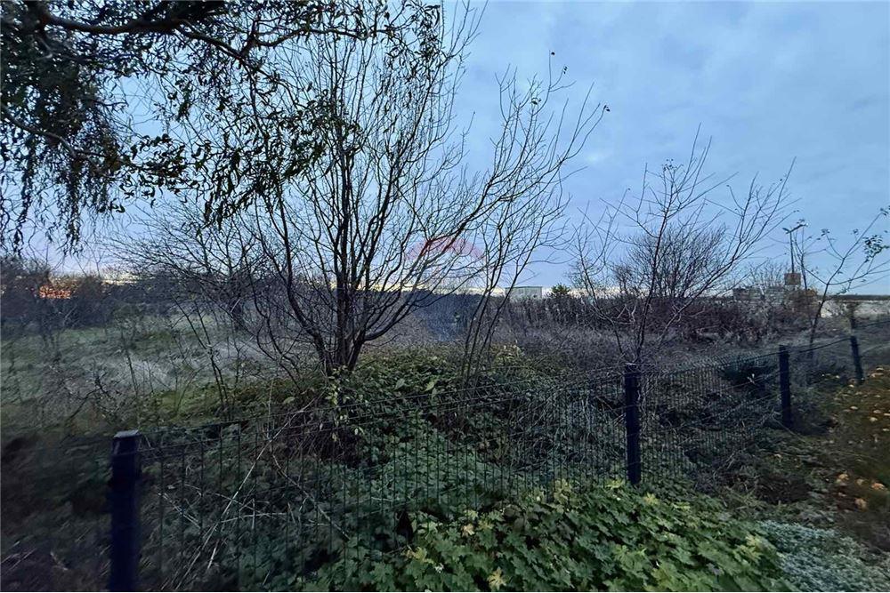 УПИ - За продажба - с. Топола, Област Добрич, България - Жилищна еднофамилна едноетажна сграда - Двор - 360321025-261