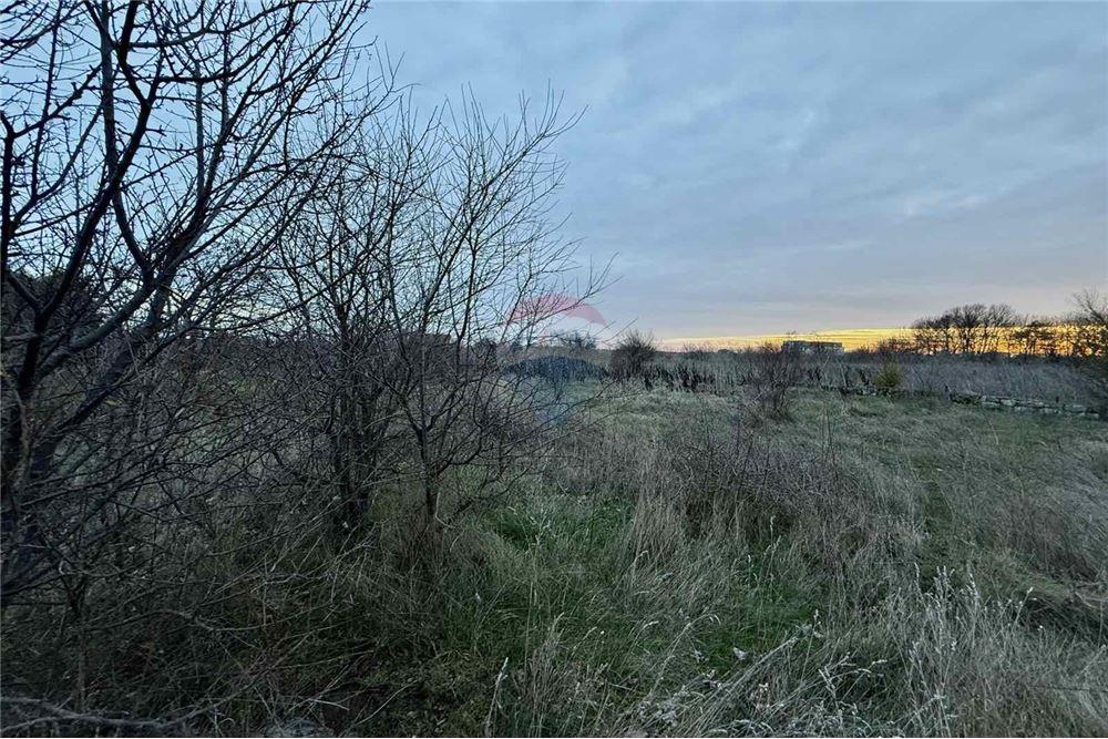 УПИ - За продажба - с. Топола, Област Добрич, България - Едноетажна сграда с функционално предназначение - селскостопанска сграда - Двор - 360321025-261