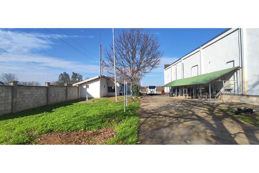 Фабрика - За продажба - с. Полковник Ламбриново, Област Силистра, България - двор 10.jpg - 360321028-142