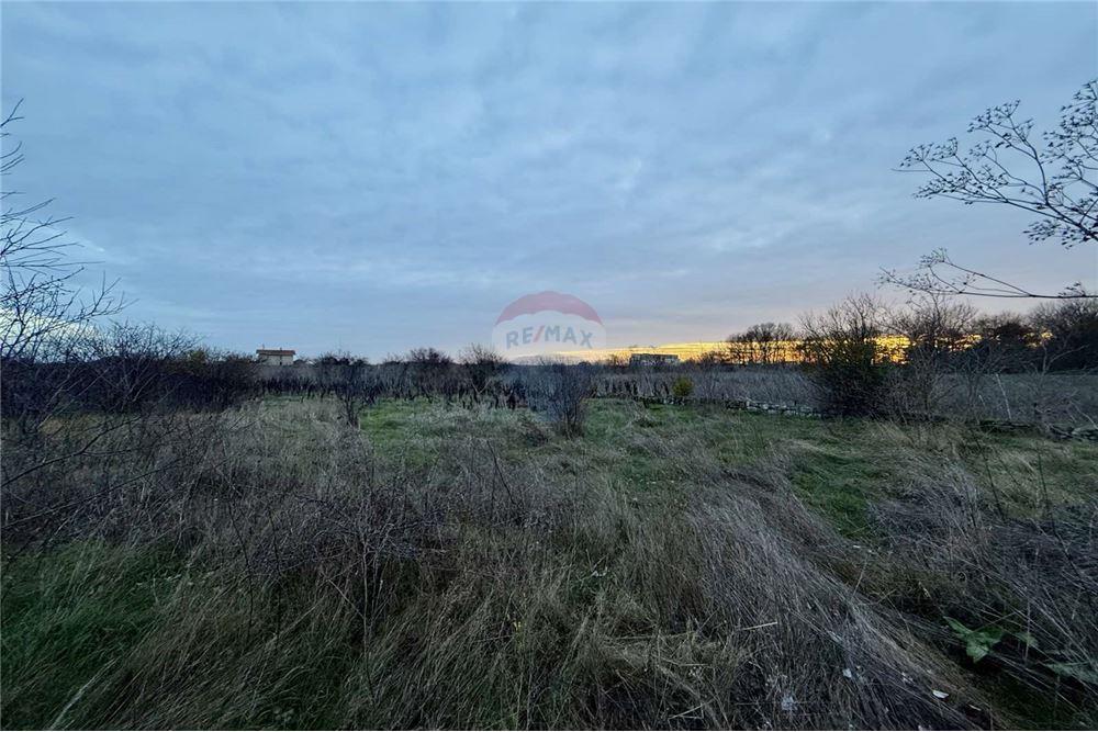 УПИ - За продажба - с. Топола, Област Добрич, България - Едноетажна сграда с функционално предназначение - селскостопанска сграда - Двор - 360321025-261