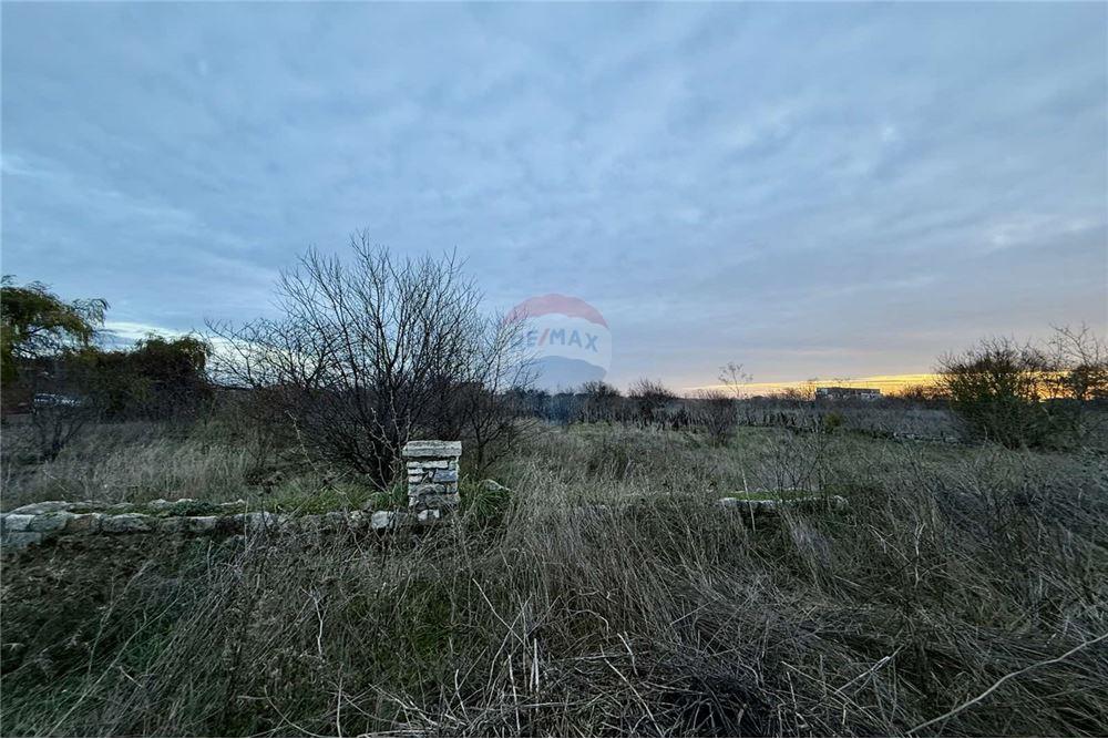 УПИ - За продажба - с. Топола, Област Добрич, България - Едноетажна сграда с функционално предназначение - складова база, склад - Двор - 360321025-261