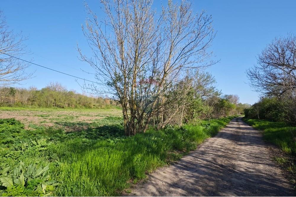 Селска къща - За продажба - с. Изворово, Област Добрич, България - Изображение от WhatsApp на 2025-04-25 в 08.02.18_ceae355b.jpg - 360391052-11