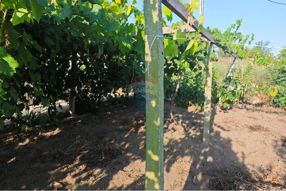 Селска къща - За продажба - с. Видно, Област Добрич, България - viber_изображение_2025-09-19_14-28-22-219.jpg - 360391052-18