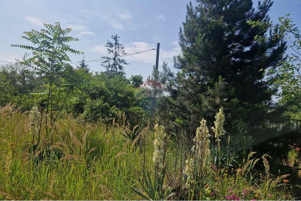 УПИ - За продажба - гр. Варна, Област Варна, България - viber_image_2025-07-08_16-14-57-534.jpg - 360531003-46