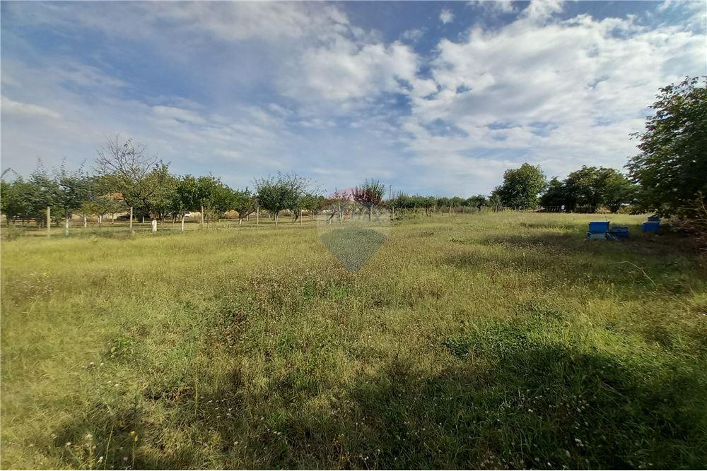 Поземлен имот - За продажба - с. Гецово, Област Разград, България - 3 - 360491001-19