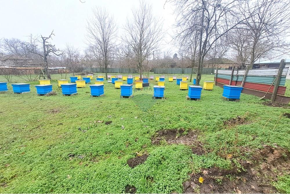 УПИ - За продажба - с. Бръшлен, Област Русе, България - 20251216_135248.JPG - 360451036-45