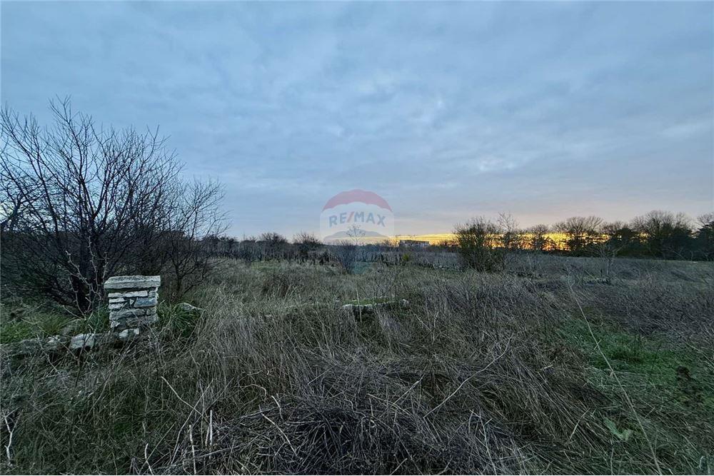 УПИ - За продажба - с. Топола, Област Добрич, България - Едноетажна сграда с функционално предназначение - складова база, склад - Двор - 360321025-261