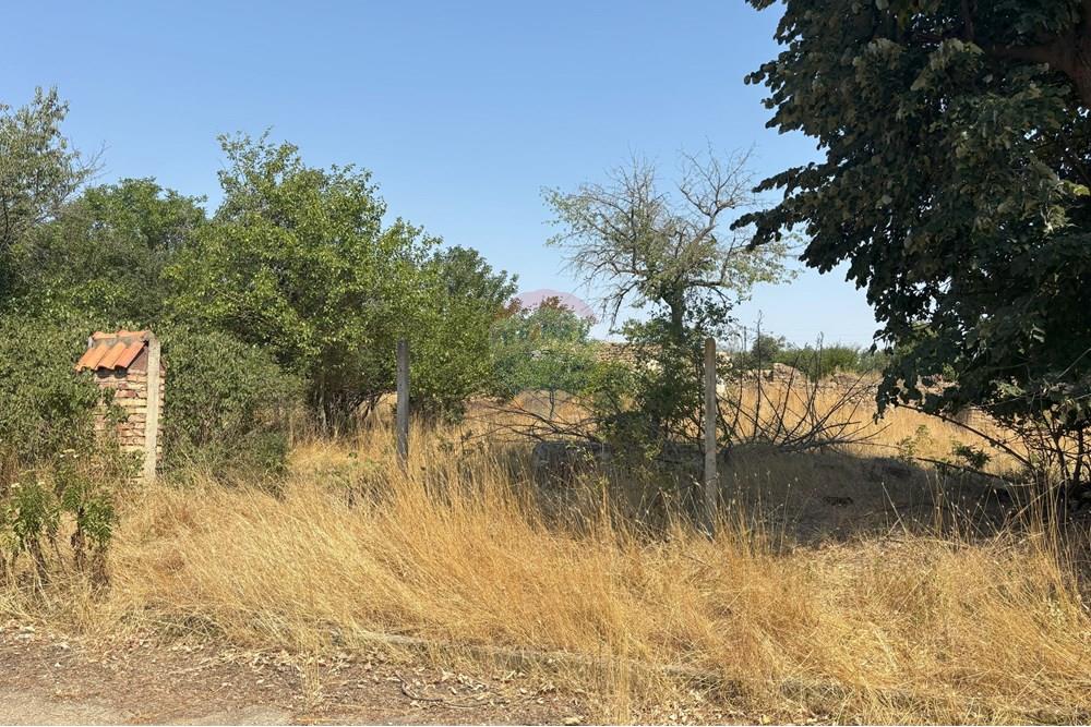 УПИ - За продажба - с. Казашка река, Област Варна, България - IMG_1953.jpg - 360391053-8