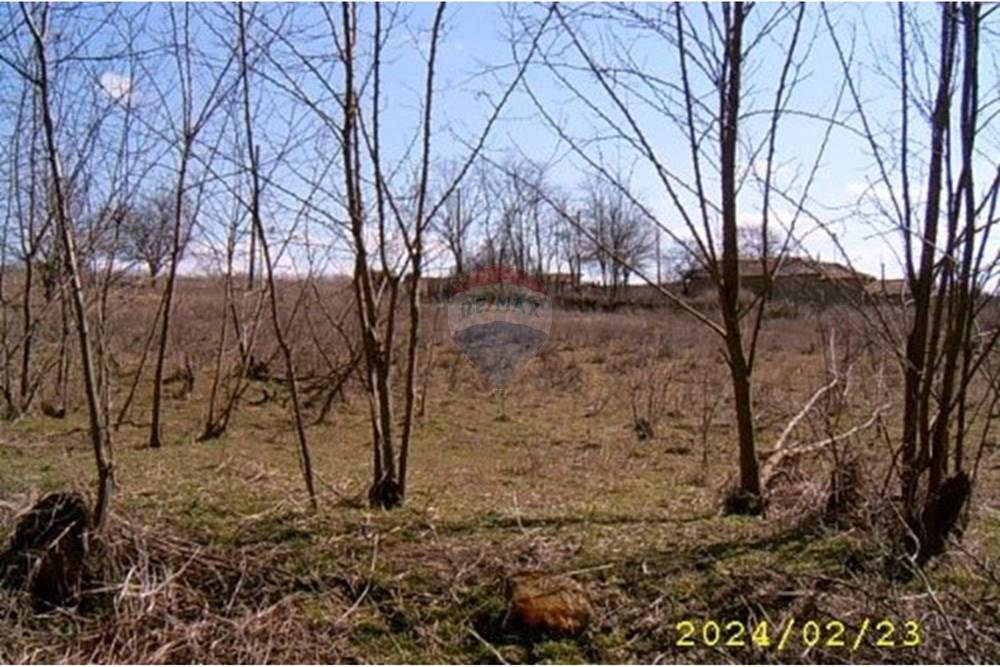 Селска къща - За продажба - с. Изворово, Област Добрич, България - View accross land.doc.jpg - 360391052-11