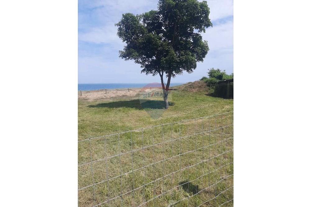 УПИ - За продажба - с. Шкорпиловци, Област Варна, България - 4.jpg - 360331037-2