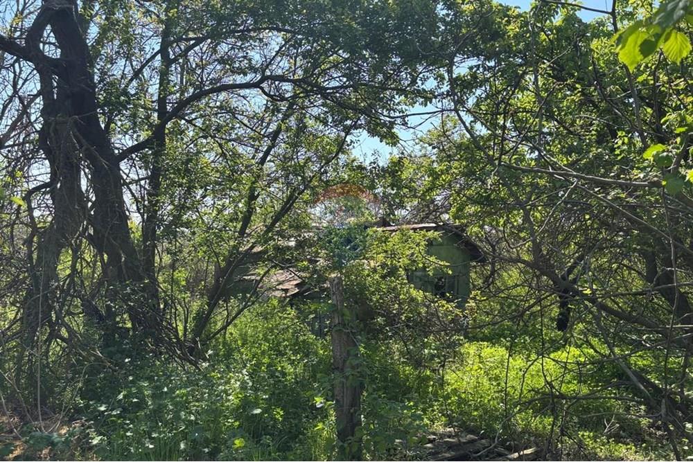 УПИ - За продажба - с. Звездица, Област Варна, България - парцел 1.jpg - 360531007-9