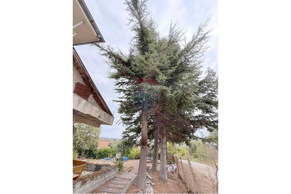 Селска къща - За продажба - с. Близнаци, Област Варна, България - viber_изображение_2025-09-30_10-07-10-042.jpg - 360511003-302