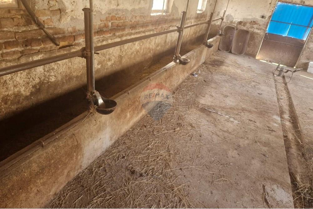 Стопанство - За продажба - с. Тенево, Област Ямбол, България - viber_image_2025-01-02_19-48-49-202.jpg - 360531003-47