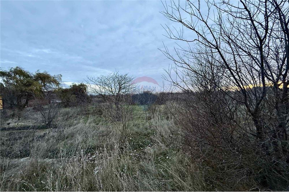 УПИ - За продажба - с. Топола, Област Добрич, България - Едноетажна сграда с функционално предназначение - селскостопанска сграда - Двор - 360321025-261